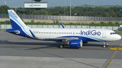 VT-IQI